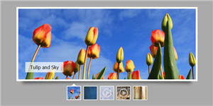jQuery Image and Video Gallery with Thumbnails