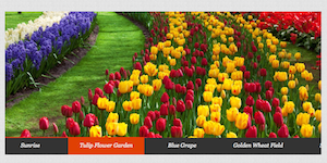 jQuery Slideshow with Text Navigation
